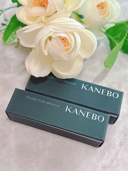 カネボウ ルージュスターブリーズ/KANEBO/口紅を使ったクチコミ(1枚目)