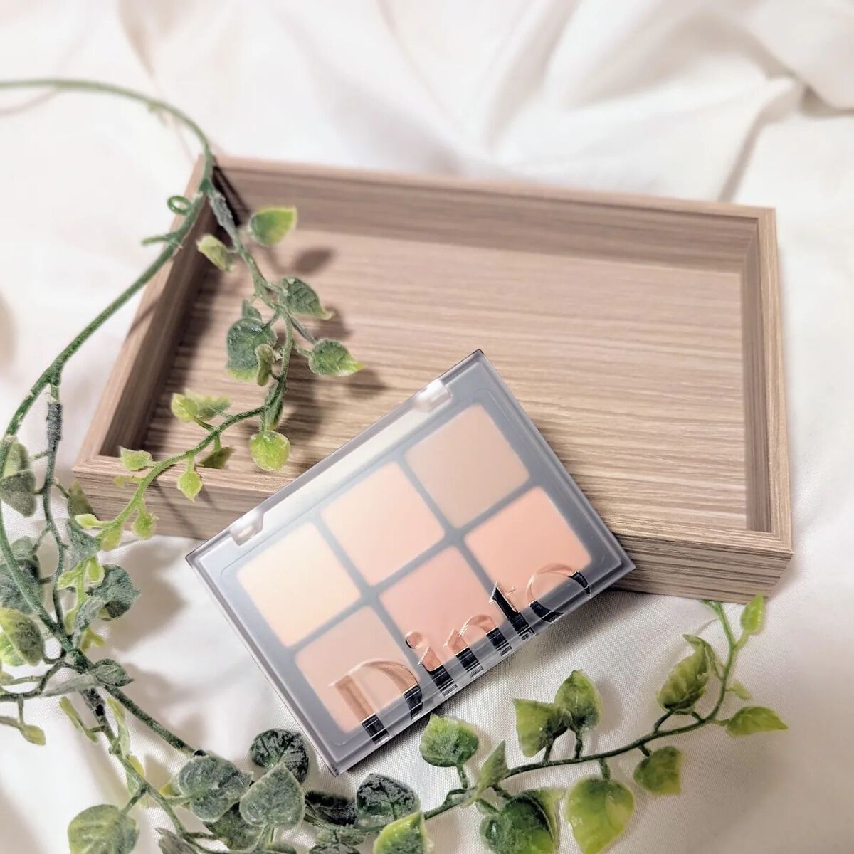 ブラーグロイリップティント/Dinto/リップティントを使ったクチコミ（2枚目）