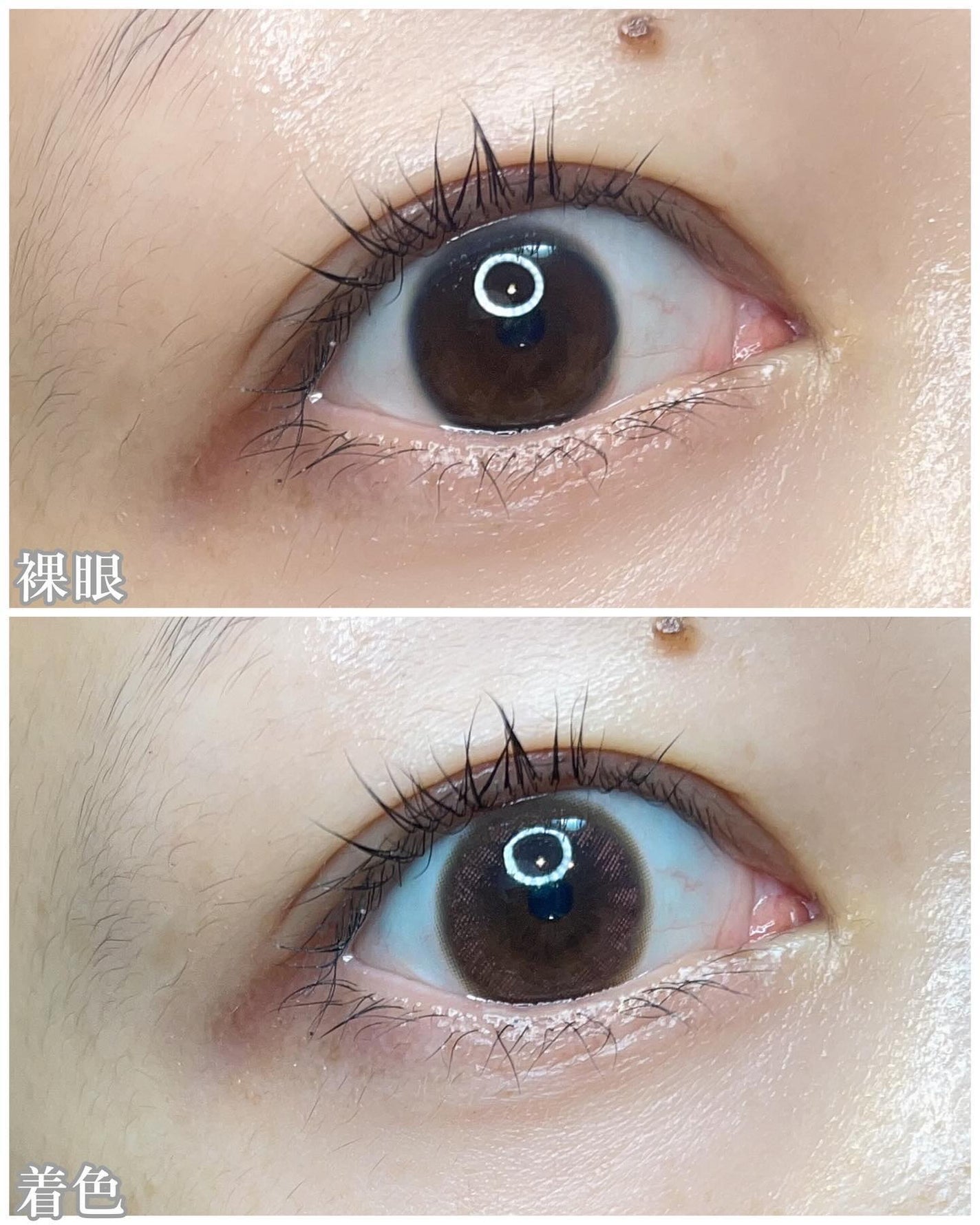 LuMia comfort 1day CIRCLE/LuMia/ワンデー(1DAY)カラコンを使ったクチコミ(3枚目)