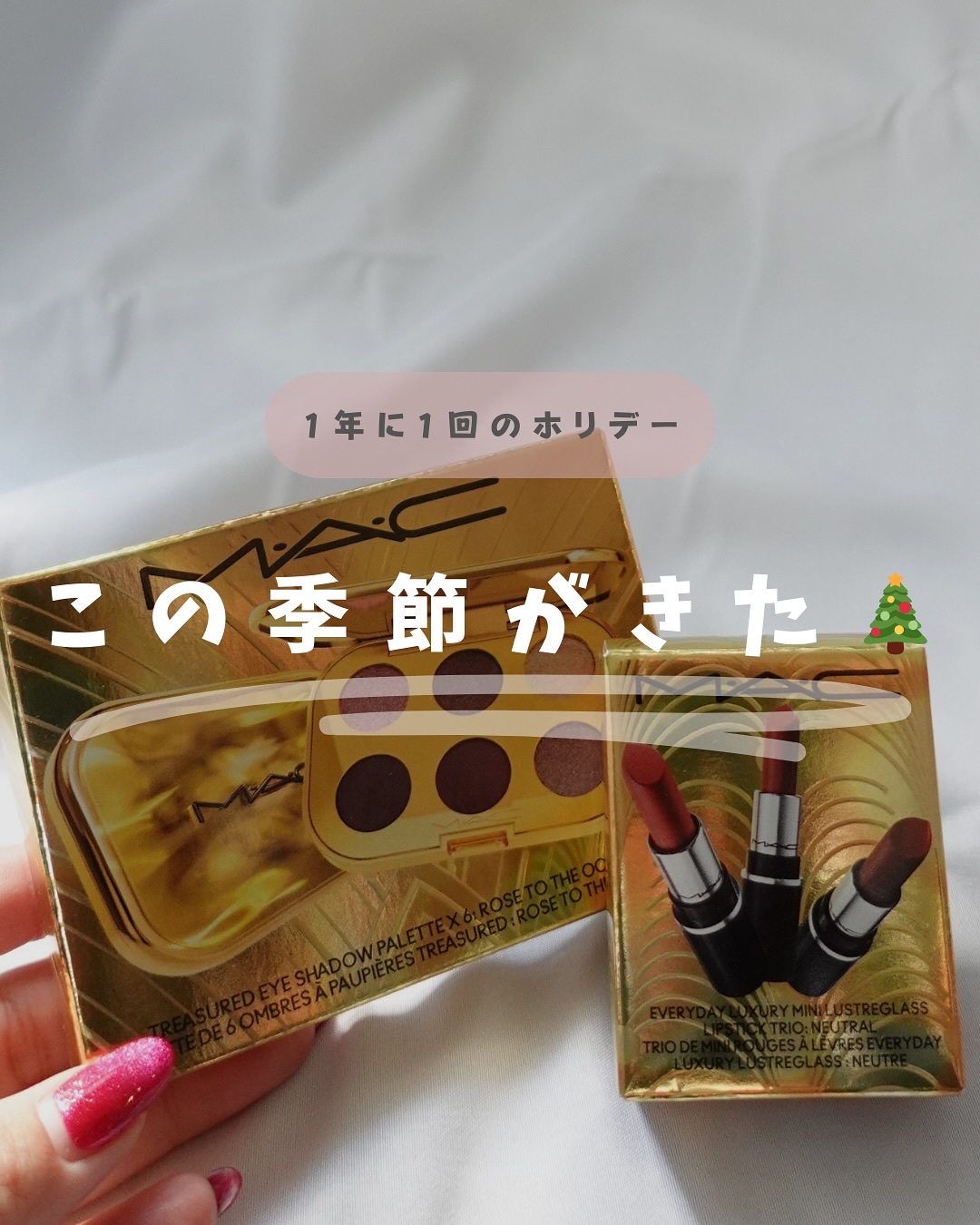 トレジャー アイシャドウ パレット ×6/M・A・C/アイシャドウパレットを使ったクチコミ（1枚目）