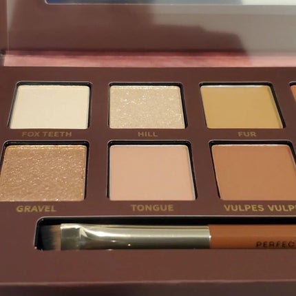 エクスプローラ12色 動物アイシャドウパレット/PERFECT DIARY/アイシャドウパレットを使ったクチコミ(3枚目)