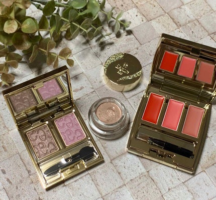 レヨン ジュレアイズ/Elégance/ジェル・クリームアイシャドウを使ったクチコミ(1枚目)