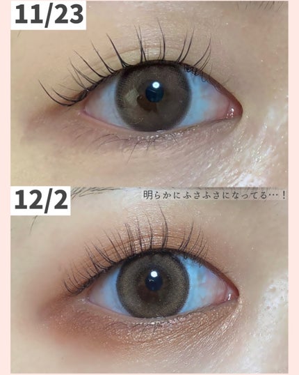 ラッシュジェリードロップ EX プレミアム/MAJOLICA MAJORCA/まつげ美容液を使ったクチコミ(4枚目)