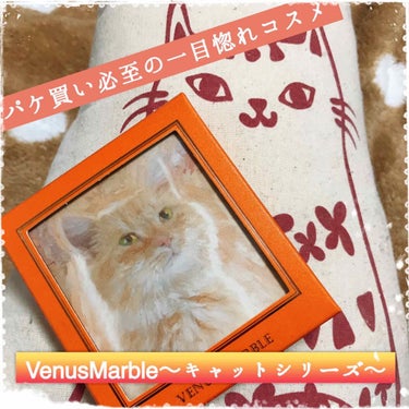 Venus Marble アイシャドウキャットシリーズ ブリティッシュショートヘア/Venus Marble/アイシャドウパレットを使ったクチコミ（1枚目）