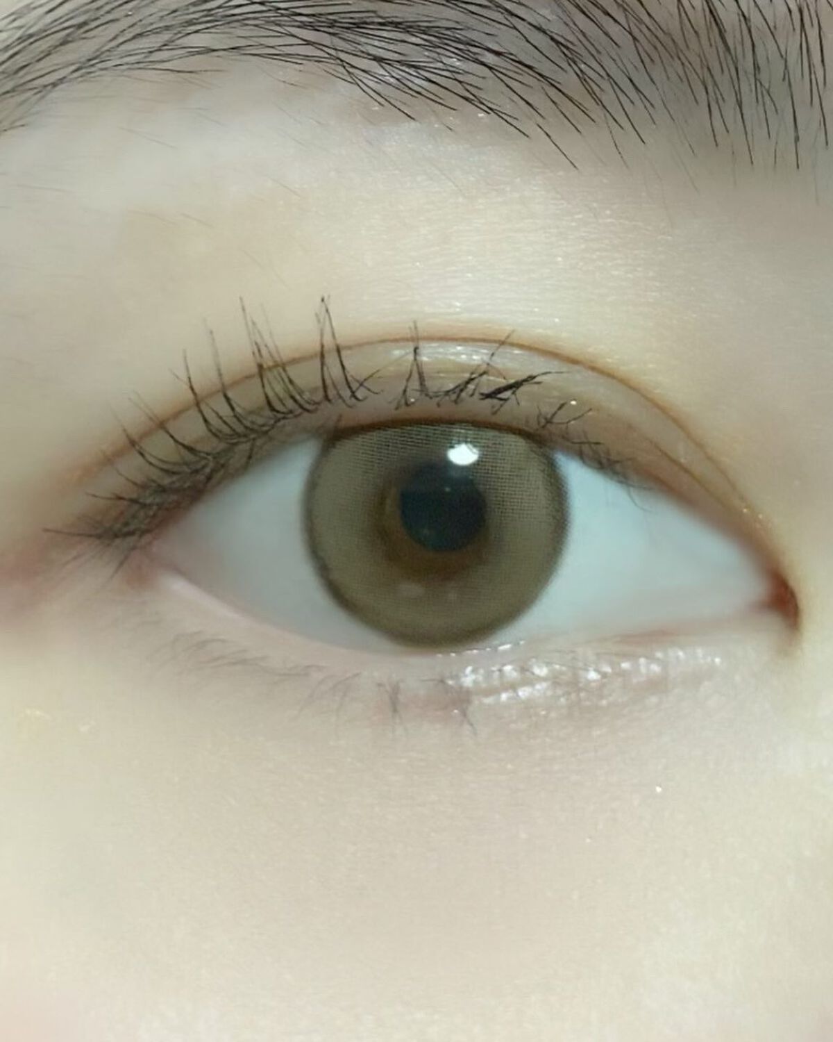 Suger High Kristin/Hapa kristin/カラーコンタクトレンズを使ったクチコミ(6枚目)