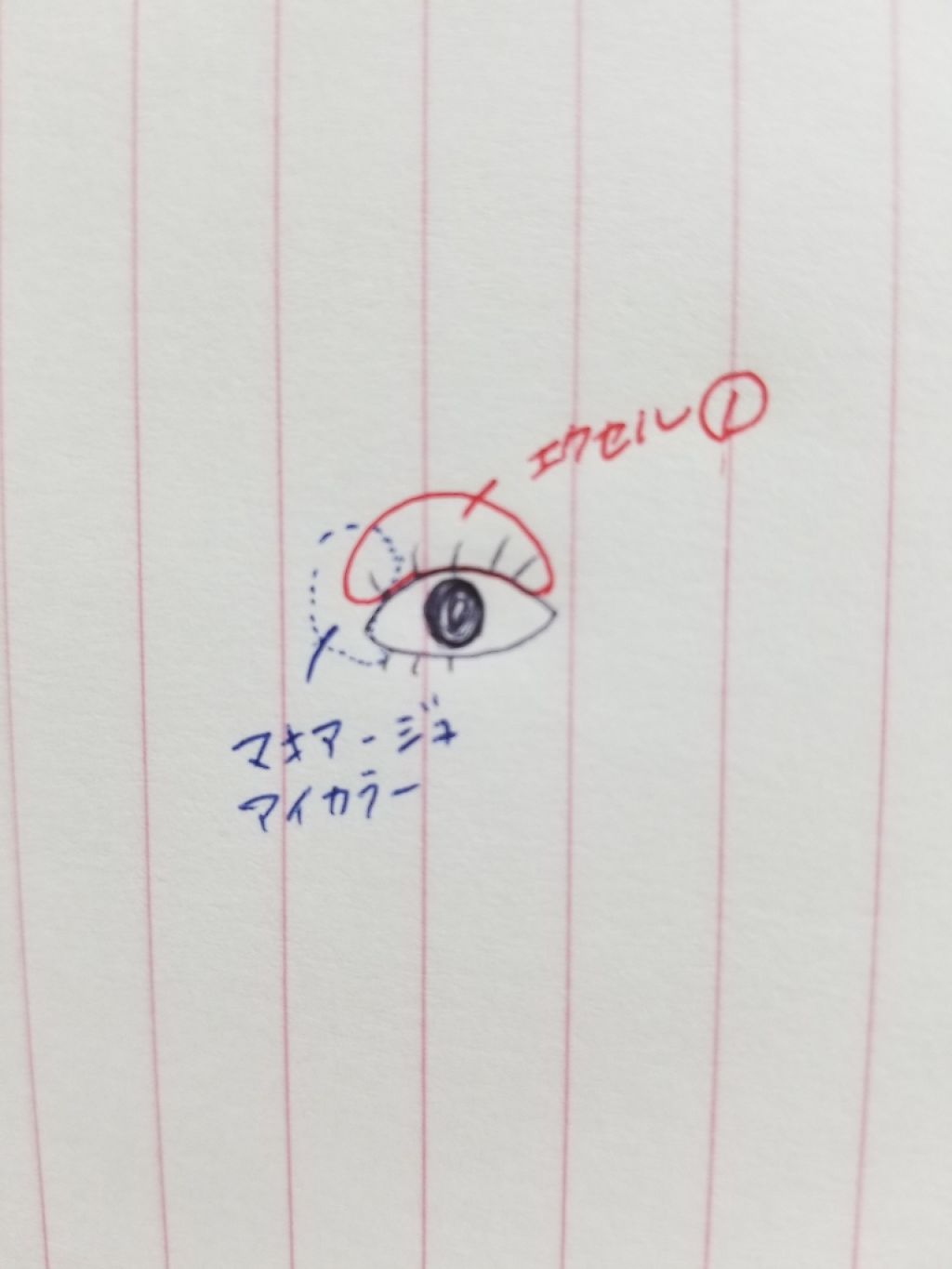 マキアージュ アイカラー N(パウダー)のクチコミ「腫れぼったくならない🌸桜色メイク

こんばんは。こはるです。

今回はこれからの季節にぴったり.....」（3枚目）