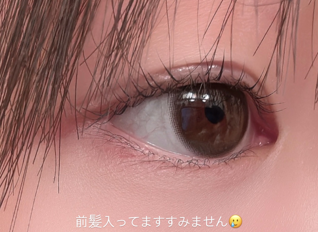 melotte 1day モアレディ/melotte/ワンデー（１DAY）カラコンを使ったクチコミ（1枚目）