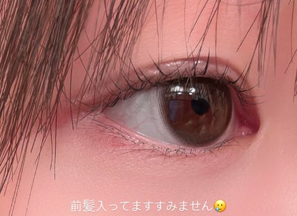 melotte 1day モアレディ/melotte/ワンデー(1DAY)カラコンを使ったクチコミ(1枚目)