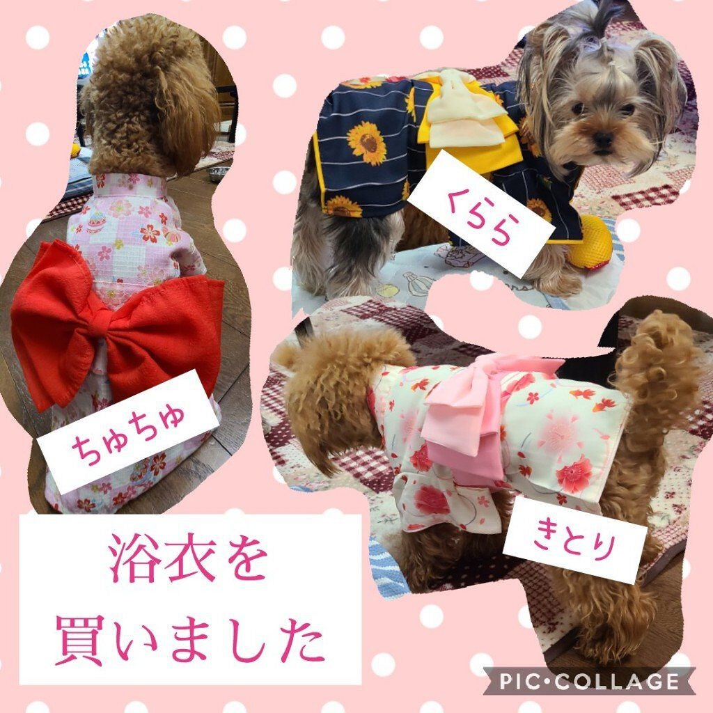 フィックス メイクアップ/CLARINS/ミスト状化粧水を使ったクチコミ(4枚目)