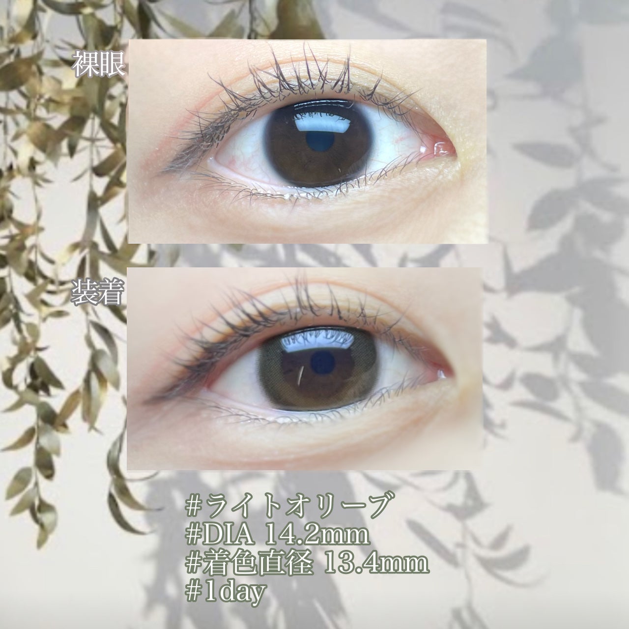 ワンデーリフレアビジュー/Refrear/ワンデー(1DAY)カラコンを使ったクチコミ(2枚目)