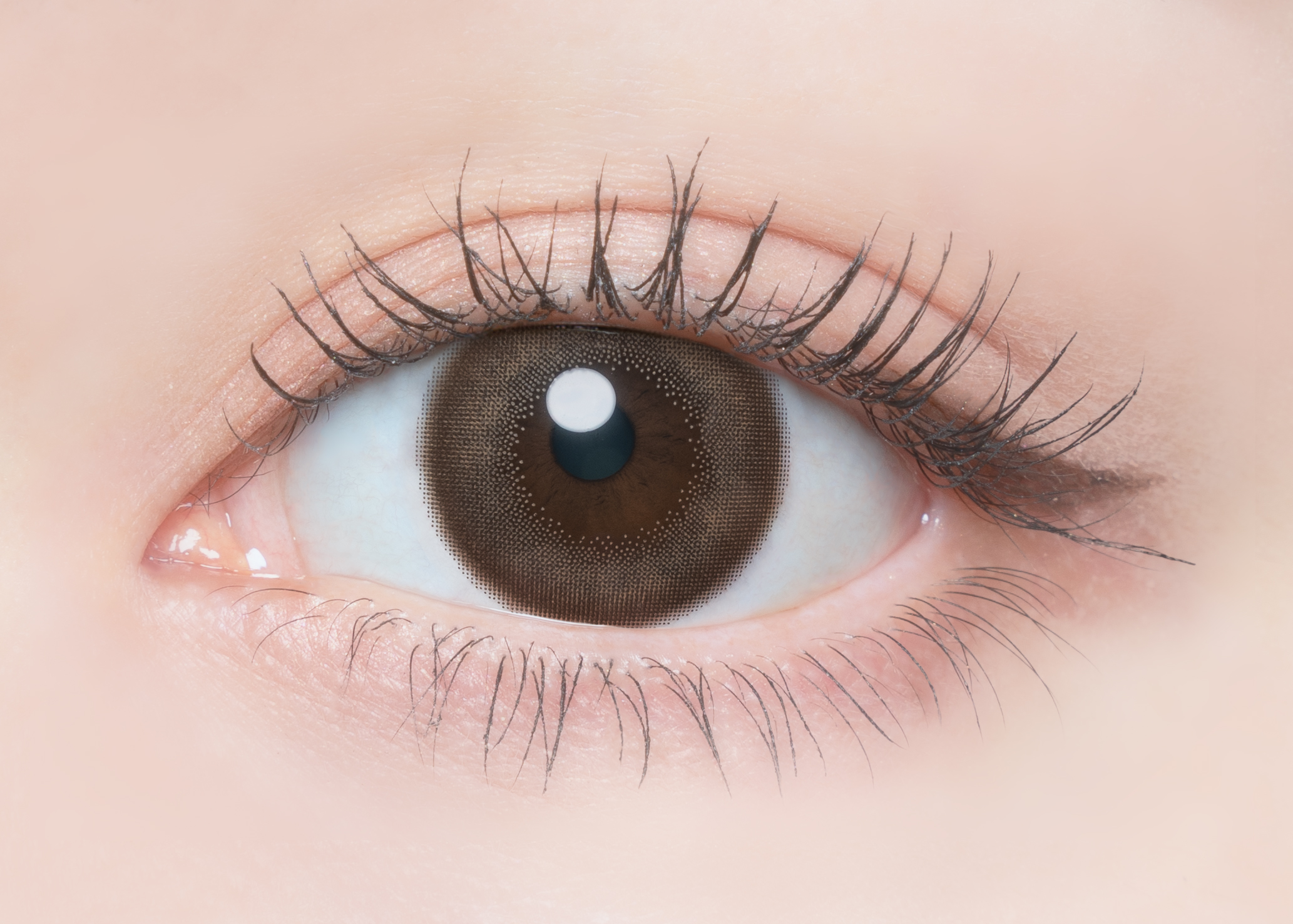 FLANMY 1day キャラメルパイ