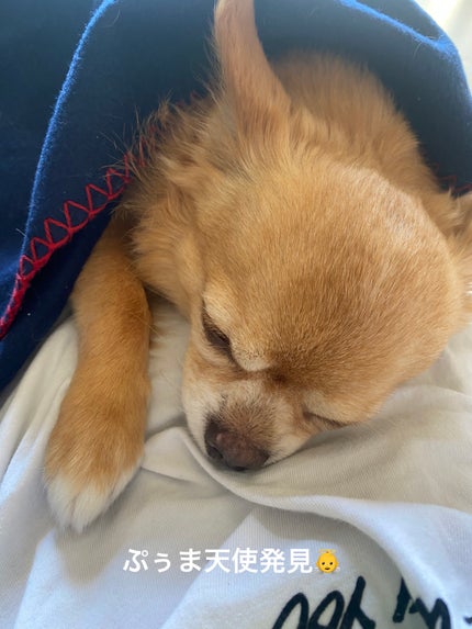 スキンディフェンス プロテクションローション SPF50+ PA++++/THE BODY SHOP/日焼け止めローションを使ったクチコミ(9枚目)