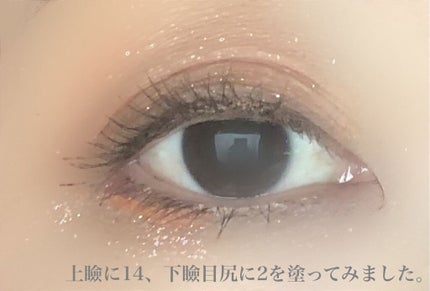 ダイヤモンドシリーズ 星空リキッドアイシャドウ/ZEESEA/リキッドアイシャドウを使ったクチコミ(5枚目)