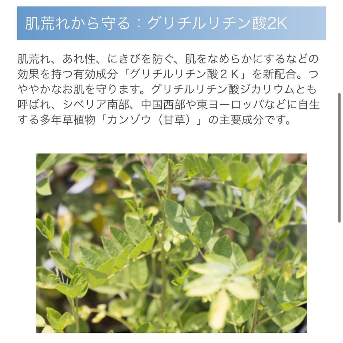 美白乃美人ピーリングジェル/ブレーンコスモス/ピーリングを使ったクチコミ(5枚目)