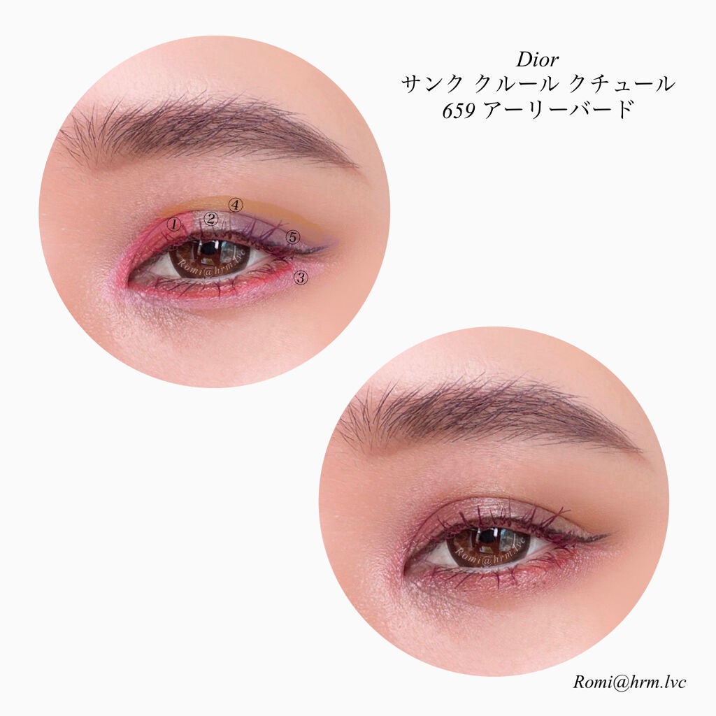 サンク クルール クチュール<バーズ オブ ア フェザー>/Dior/アイシャドウパレットを使ったクチコミ(2枚目)