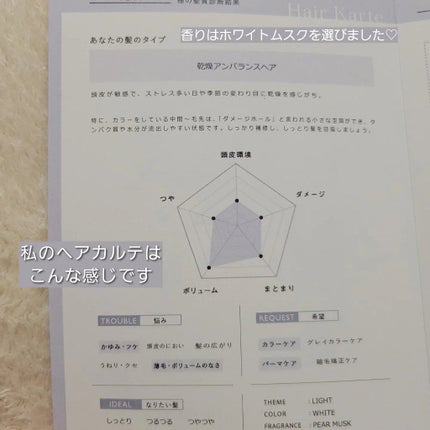SHAMPOO & REPAIR/MEDULLA/市販シャンプーを使ったクチコミ(5枚目)