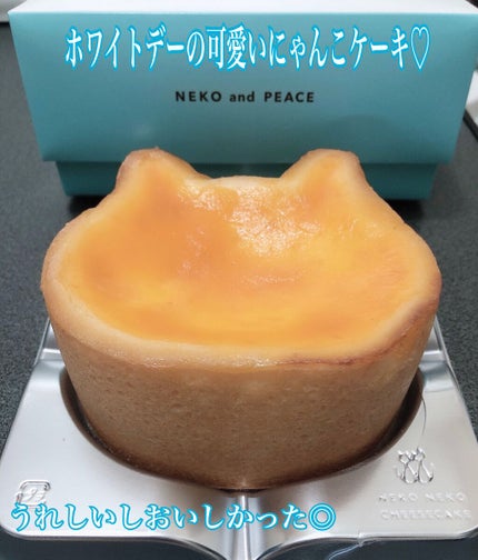 ナイントゥナインサバイバルペンライナー #01 マットブラック/lilybyred/リキッドアイライナーの画像