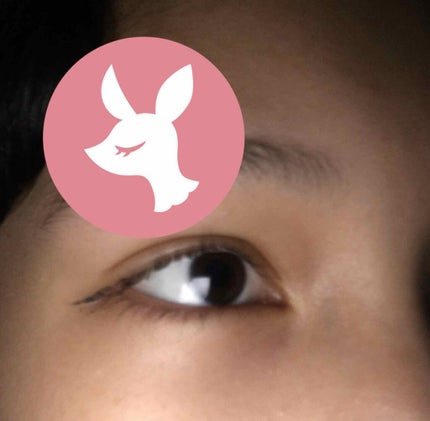 ポットアイライナー/ドド/リキッドアイライナーを使ったクチコミ(1枚目)