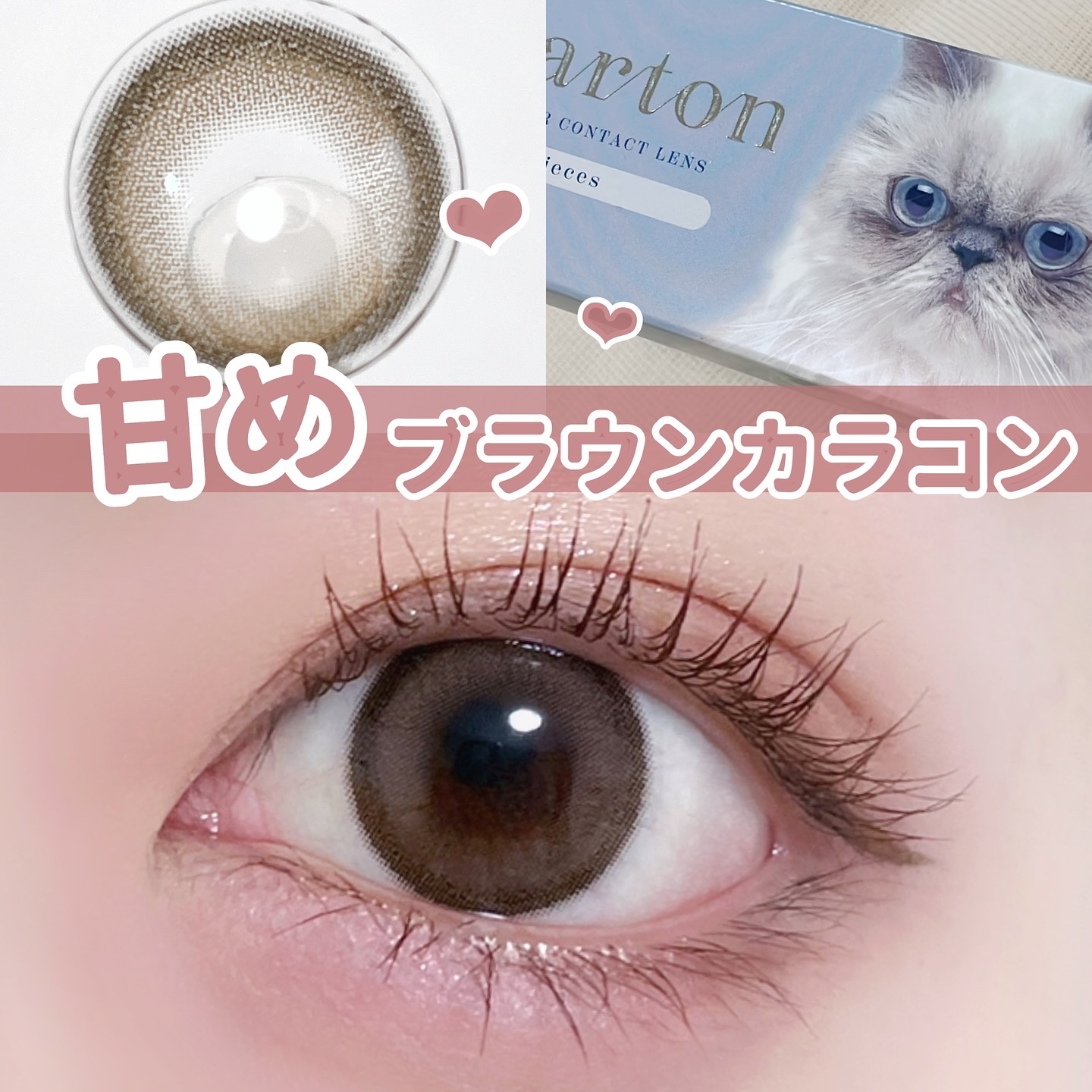 Charton 1day ビスケットスモア/Charton/ワンデー（１DAY）カラコンを使ったクチコミ（1枚目）