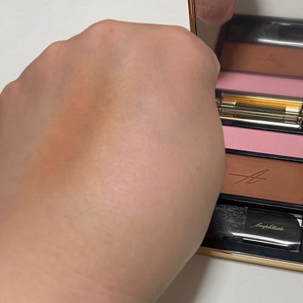 コンスピキュアス チークス 13 ピンクブラウン/Amplitude/パウダーチークを使ったクチコミ(3枚目)