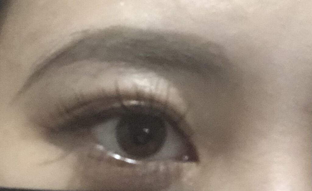 ハード フォーミュラ ハード 9 シールブラウン〈限定〉/shu uemura/アイブロウペンシルを使ったクチコミ（1枚目）