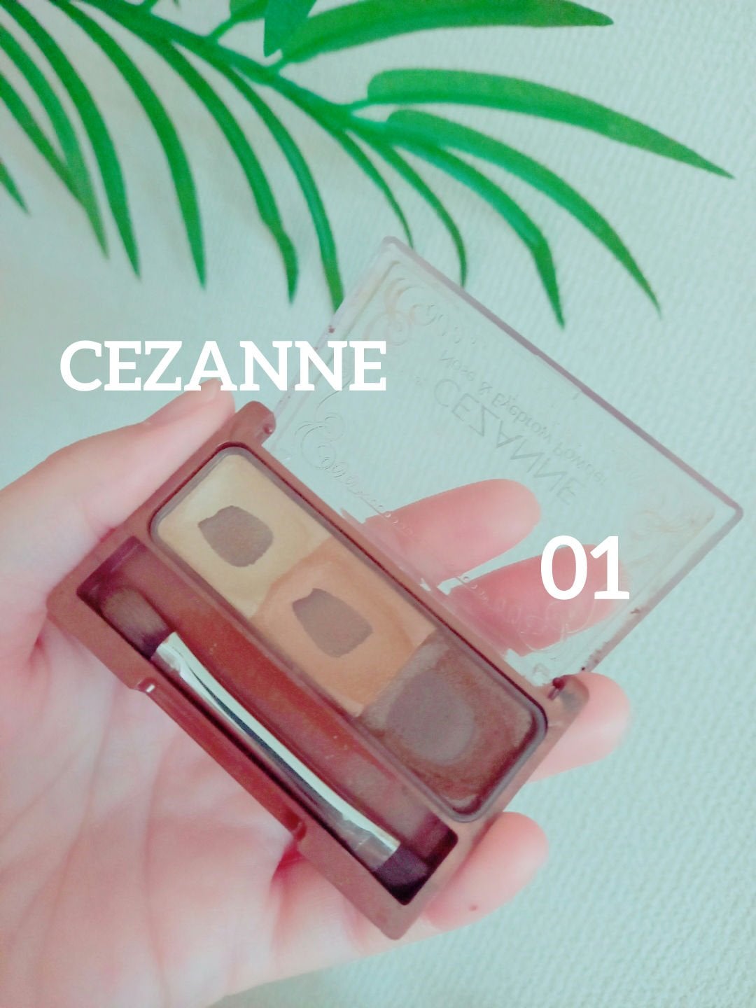 ノーズ&アイブロウパウダー/CEZANNE/パウダーアイブロウを使ったクチコミ(1枚目)