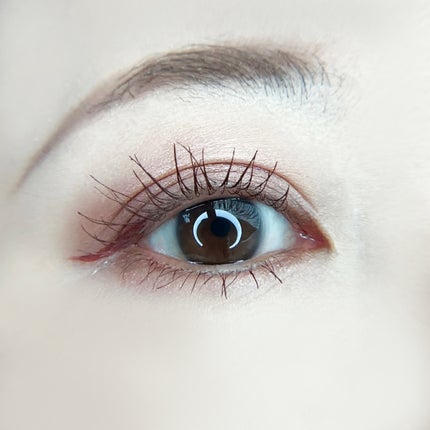 ブラーフィニシュシャドウパレット/Dinto/アイシャドウパレットを使ったクチコミ(4枚目)