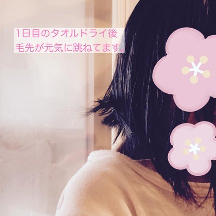 NOUNE<ノウネ>シャンプー/トリートメント/NIJI RHYTHMIC/市販シャンプーを使ったクチコミ(3枚目)