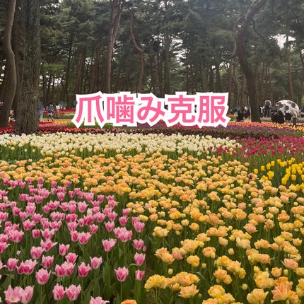 エテュセ クイックケアコート/ettusais/ネイルオイル・トリートメントを使ったクチコミ(1枚目)