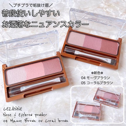 ノーズ&アイブロウパウダー/CEZANNE/パウダーアイブロウを使ったクチコミ(1枚目)