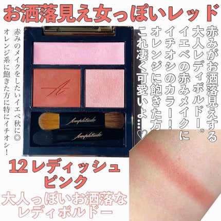 コンスピキュアス アイズ/Amplitude/アイシャドウパレットを使ったクチコミ(9枚目)