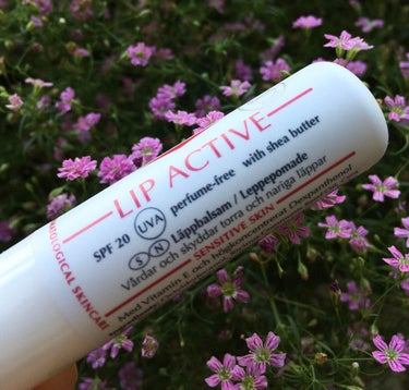 Lip Active SPF20/Eucerin/リップケア・リップクリームを使ったクチコミ（3枚目）