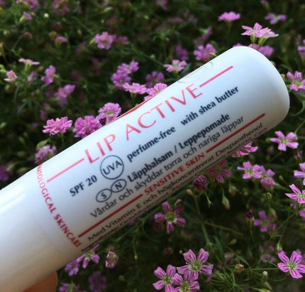 Lip Active SPF20/Eucerin/リップケアを使ったクチコミ(3枚目)