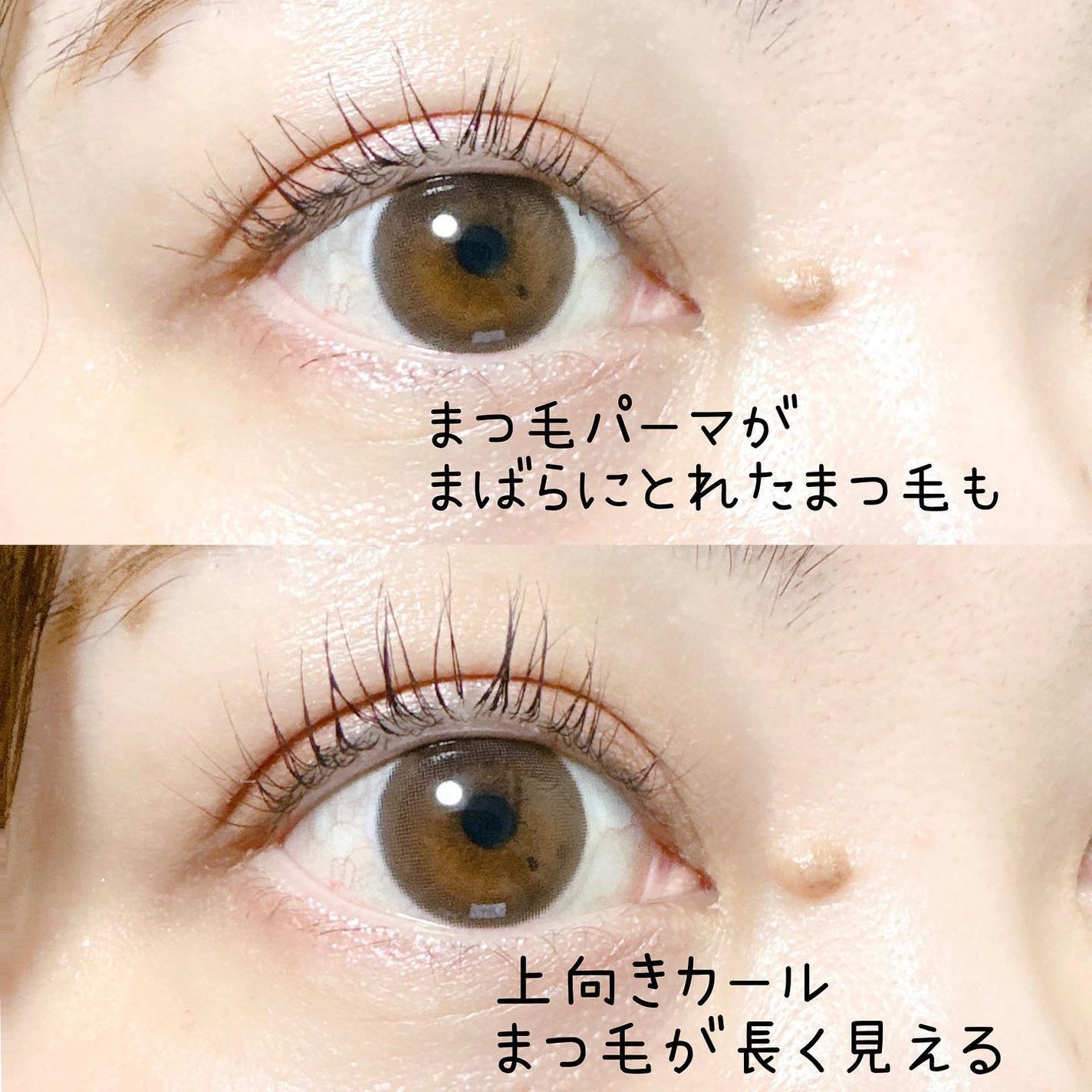 両用ホットビューラー/ANLAN/ホットビューラーを使ったクチコミ(7枚目)