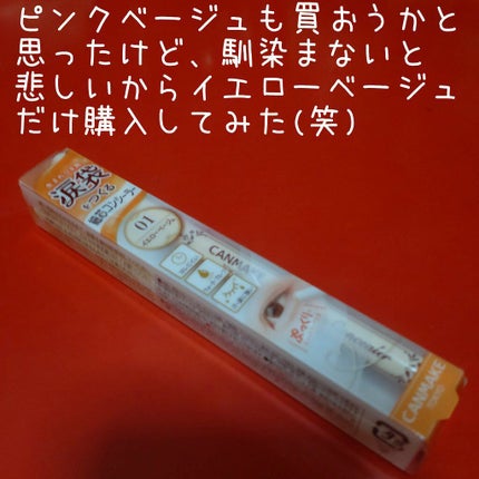 3wayスリムアイルージュライナー/キャンメイク/リキッドアイライナーを使ったクチコミ(2枚目)