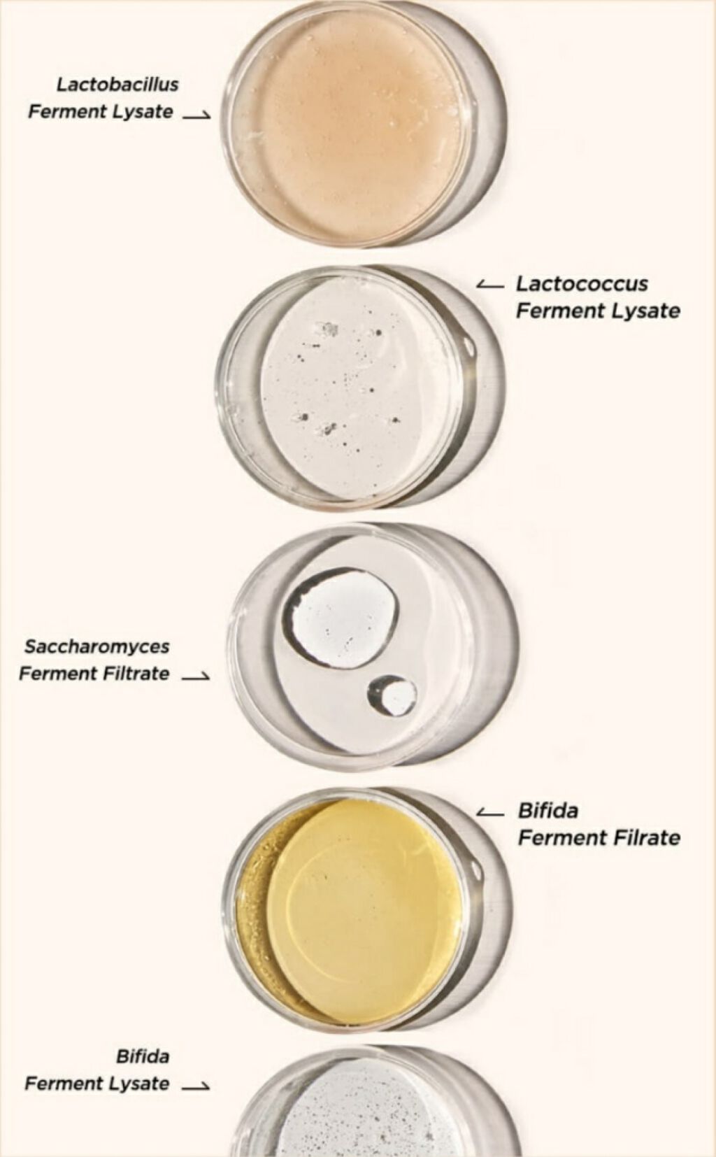 ビフィダバイオームコンプレックスセラム/manyo/美容液を使ったクチコミ(2枚目)
