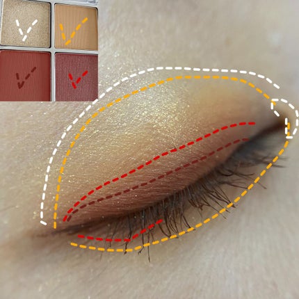 アイランドアドベンチャー4アイシャドウ/HEXZE(ヘックスゼ)/アイシャドウパレットを使ったクチコミ(8枚目)