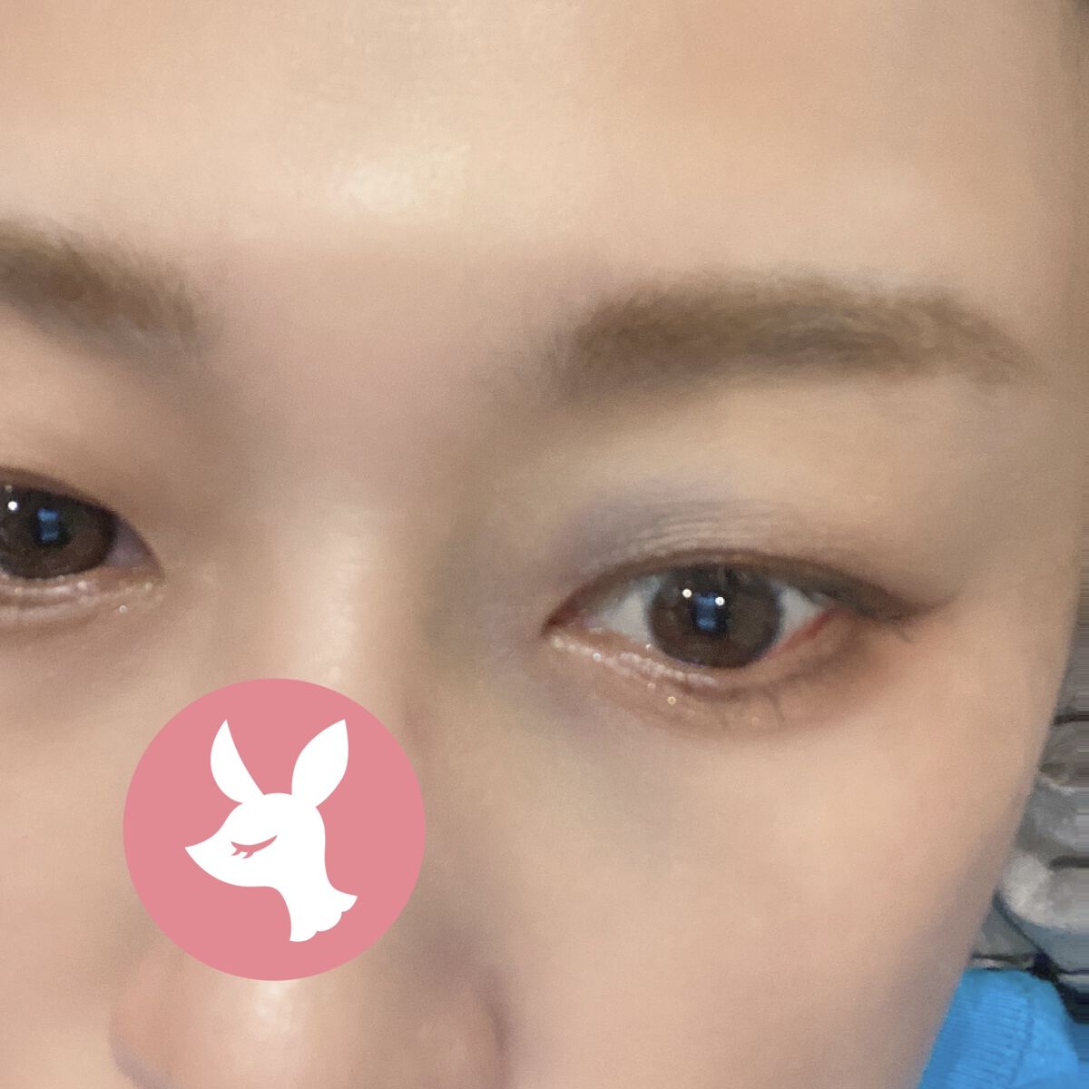 フーミー キニシーラー ナチュラルオレンジ/WHOMEE/パレットコンシーラーを使ったクチコミ（3枚目）