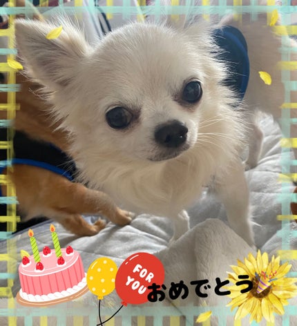 ヴェルニ ディオリフィック/Dior/マニキュアを使ったクチコミ(8枚目)