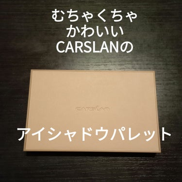 シルキー トゥインクル 総合 パレット/CARSLAN/アイシャドウパレットを使ったクチコミ（1枚目）