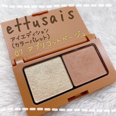 アイエディション(カラーパレット)/ettusais/アイシャドウパレットを使ったクチコミ（1枚目）