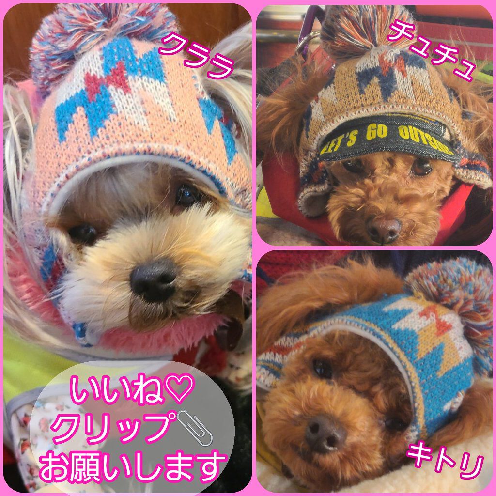 ピエナージュ ミミジェム ワンデー/PienAge/カラーコンタクトレンズを使ったクチコミ（2枚目）