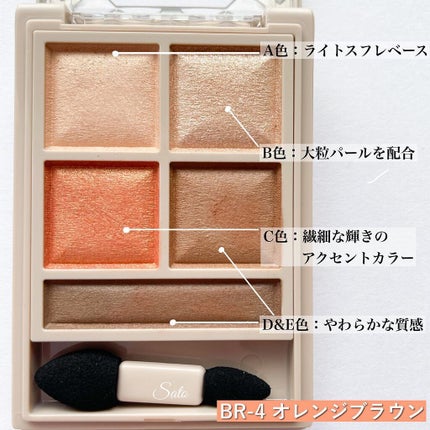 パノラマデザイン アイパレット/Visée/アイシャドウパレットを使ったクチコミ(6枚目)