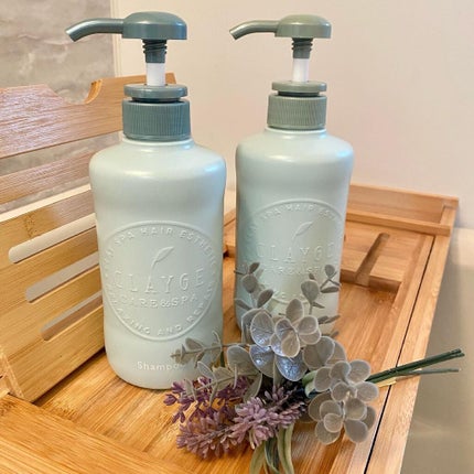 シャンプー/トリートメントR /CLAYGE/シャンプー・コンディショナーを使ったクチコミ(1枚目)