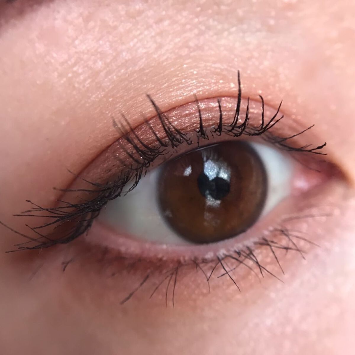 エテュセ アイエディション (マスカラベース)/ettusais/マスカラ下地を使ったクチコミ(2枚目)