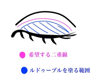ルドゥーブル/ルドゥーブル/二重まぶた用アイテムを使ったクチコミ(2枚目)