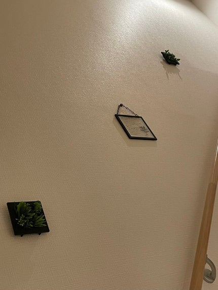 ヘアアクセサリー/DAISO/ヘアアクセサリーを使ったクチコミ(2枚目)