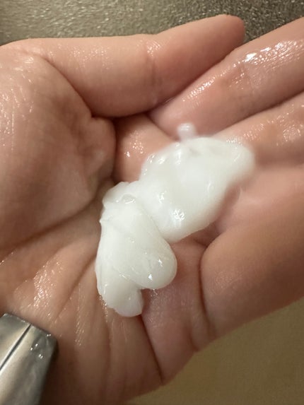 プリュスオー メルティシャンプー/メルティトリートメント/plus eau/市販シャンプーを使ったクチコミ(6枚目)