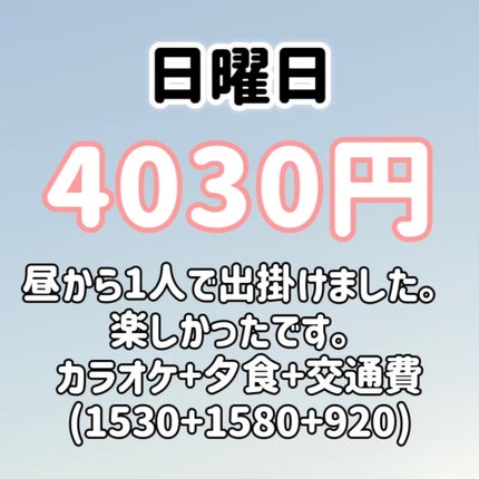 スキニーリッチシャドウ/excel/アイシャドウパレットを使ったクチコミ(9枚目)