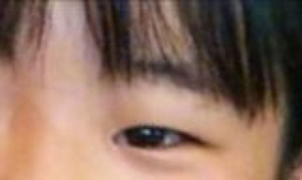 ストリングファイバー120 ディープタイプ/メザイク/二重まぶた用アイテムを使ったクチコミ(1枚目)